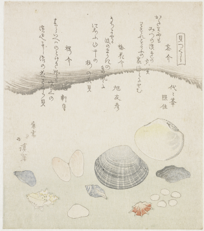 Forgotten shell, plum blossom shell and cherry shell, Hokkei, 1821