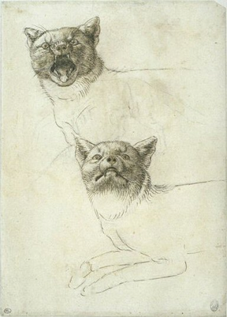 Two studies of a cat's head. Sketch of a fox in profile, Pisanello