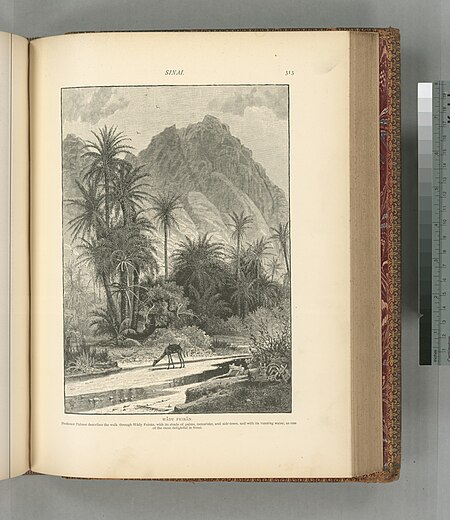 Wâdy Feirân. Professor Palmer describes the walk through Wâdy Feirân, with its shade of palms, tamarisksm and sidr-trees, and with its running water, as one of the most delightful in Sinai., 1881
