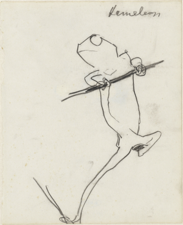 Kameleon, RP-T-1969-105, Theo Nieuwenhuis, between 1876 and 1951