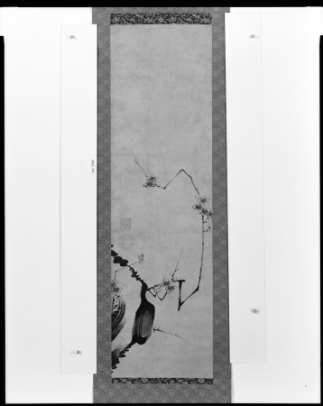 Branch of Flowering Plum, Itō Jakuchū