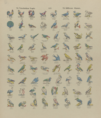 72 Verscheidene vogels 72 Différents oiseaux (titel op object), RP-P-OB-201.897, between 1833 and 1911