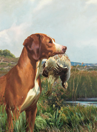 The pointer Nimrod., Simon Simonsen, 1904