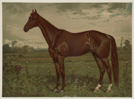 Edwin Thorne LCCN2003654053, Nicholas Winfield Scott Leighton, 1882