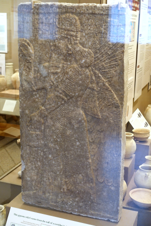 Winged genie, view 1, Ashurnasirpal II's Northwest Palace at Nimrud, gypsum - Oriental Institute Museum, University of Chicago - DSC07038