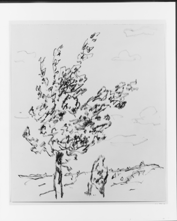 Tree, Allen Tucker, circa 1920