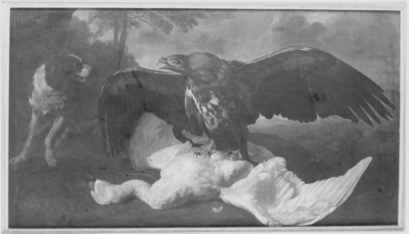 Still Life with Eagle, Dog and Dead Swan, Jan Weenix, between 1640 and 1719