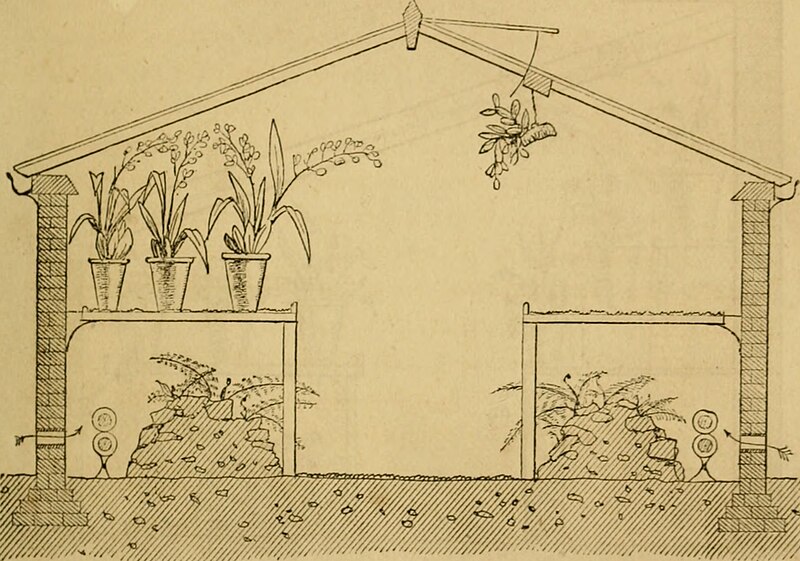 Cool orchids, and how to grow them - with a descriptive list of all the best species in cultivation (and how to grow them -) (20506039349), 1874