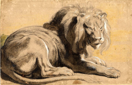 Lion in repose, facing right, Peter Paul Rubens, circa 1613