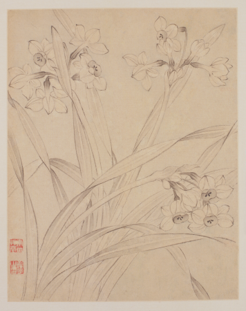 "Yun Shouping's Book of Flowers and Birds", Yun Shouping