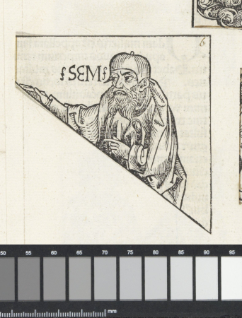 Sem Sem (titel op object) Liber Chronicarum (serietitel), RP-P-2016-49-7-6, 1493