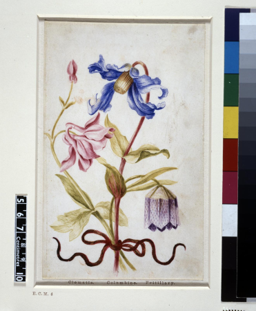 Drawing, album, between 1639 and 1682
