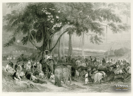 "Runjeet Singh (Ranjit Singh) and his Suwarree, or Cavalcade, of Seiks (Sikhs) Encamped under a Banyan Tree on the River Sutlej, " a steel engraving by Fisher and Son, London, based on a drawing made in 1831, William Harvey, circa 1837