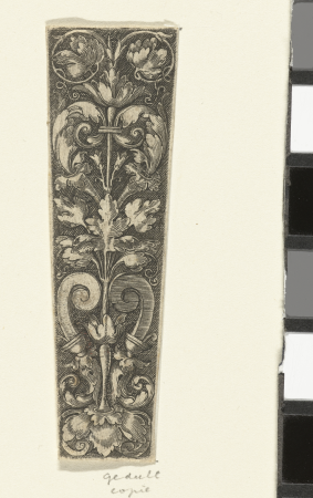 Bladranken, RP-P-OB-2867, Heinrich Aldegrever, between 1529 and 1610