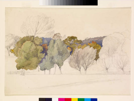 Landscape With Trees In The Middleground And Background. (probably Norfolk), Frederick Sandys, between 1855 and 1860