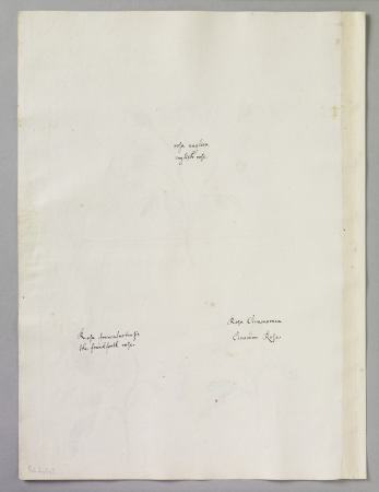 Alexander Marshal (RCIN 924349-1), Alexander Marshal