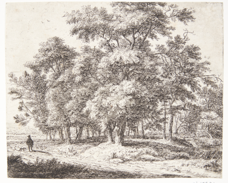 Forest with a wayfarer with a dog, Antonie Waterloo