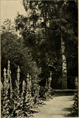 Home and garden; notes and thoughts, practical and critical, of a worker in both (1900) (14781854755)