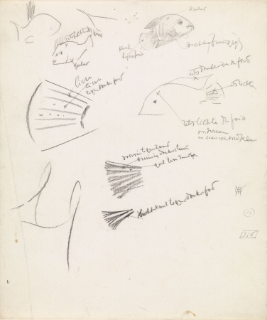 Studies van vissen en vinnen, met kleurnotities, RP-T-1969-849, Gerrit Willem Dijsselhof, between 1876 and 1924