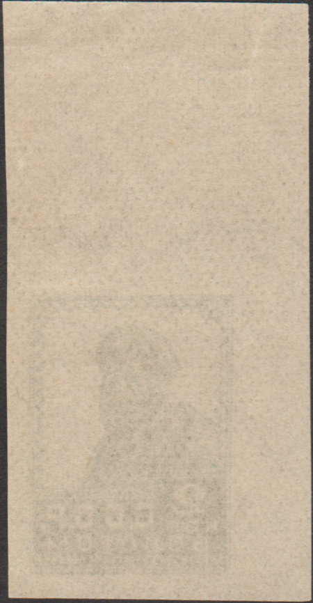 The Soviet Union 1923 CPA 100 stamp with top and left fields back (1st standard issue of Soviet Union. 1st issue. Peasant) 600dpi, 15 November 1923