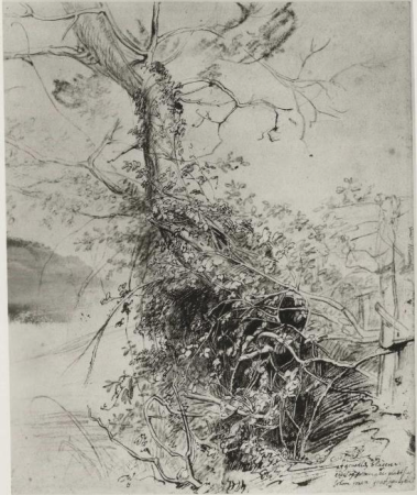 Rubens - RKDimages, 264838, Peter Paul Rubens