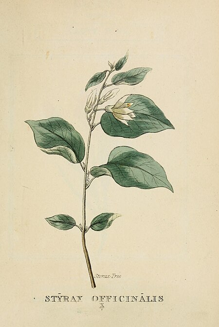 Elements of the science of botany, as established by Linnaeus; with examples to illustrate the classes and orders of his system (1812) (21078109899)