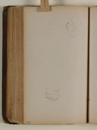 Studier af fugle, Niels Larsen Stevns