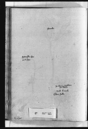 Alexander Marshal (RCIN 924305-2), Alexander Marshal