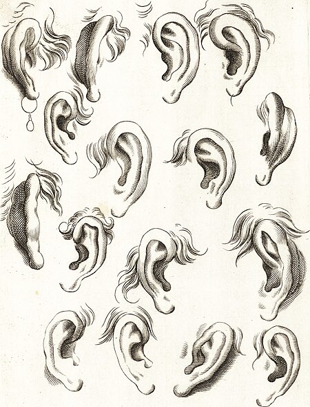 Ars pictoria - or, An academy treating of drawing, painting, limning and etching - to which are added thirty copper plates expressing the choicest, nearest, and most exact grounds and rules of (14779960784), 1669