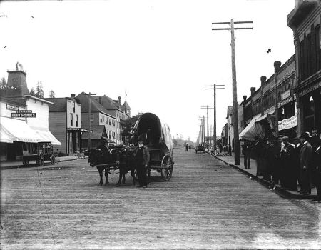 Man, probably Ezra Meeker, leading covered wagon and two oxen, Chehalis, ca. 1915, circa 1915