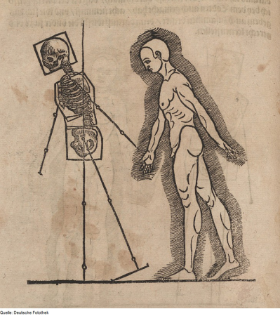 Skeleton and man in side view in stride position, 1618