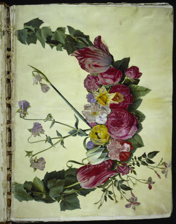 Blomsterranke, Hans Simon Holtzbecker, between 1649 and 1659