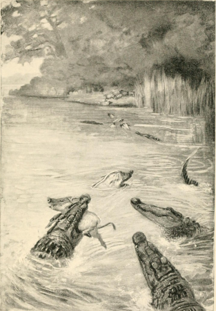 The world of the great forest - how animals, birds, reptiles, insects talk, think, work and live (1901) (14747304951)