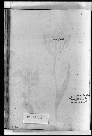 Alexander Marshal (RCIN 924312-2), Alexander Marshal