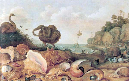 Perseus and Andromeda with a Dodo and seashells., Gillis d'Hondecoeter, 1627