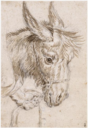Head of a mule, Peter Paul Rubens, between 1600 and 1640