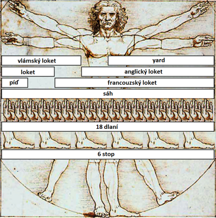 Vitruvian Man Measurements cs