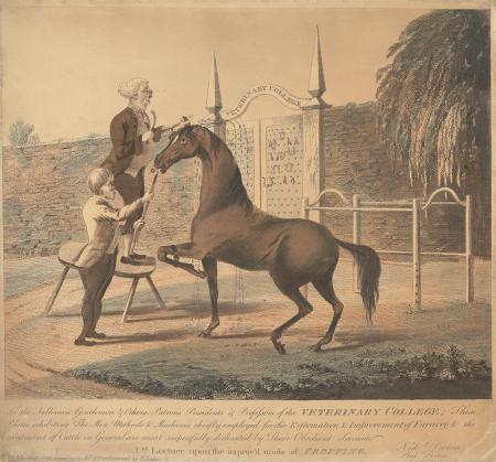 1.... The Men Methods & Machines chiefly employed for the Reformation & Improvement of Farriery & the / treatment of Cattle in General..., Charles Loraine Smith, 1792