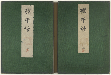 A selection of a thousand butterflies, Kamisaka Sekka, between 1903 and 1908