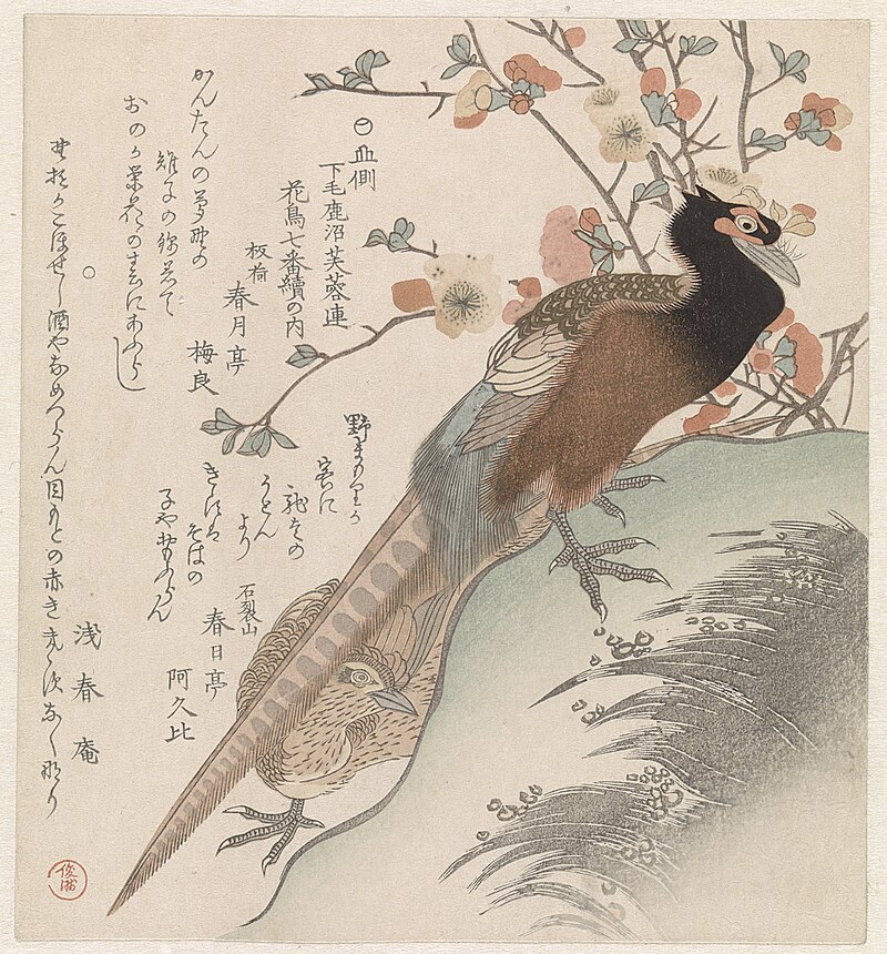Pheasants in front of a blossom branch, Kubo Shunman, between 1890 and 1900