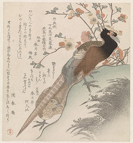 Pheasants in front of a blossom branch, Kubo Shunman, between 1890 and 1900
