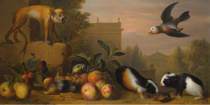 AN EXTENSIVE LANDSCAPE WITH A CAPUCHIN SQUIRREL MONKEY, TWO GUINEA PIGS, A BLUE TIT AND AN AMAZON ST. VINCENT PARROT WITH PEACHES, FIGS, AND PEARS, ALL SET IN AN ELEGANT PARK WITH CLASSICAL BUILDINGS BEYOND, Jakob Bogdani