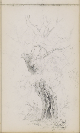 Boom, RP-T-2009-91-9(V), Willem Cornelis Rip, between 1874 and 1875