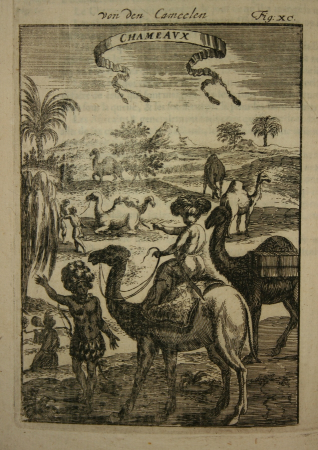 View of a camel-rider, 1685, Alain Manesson Mallet, between 1683 and 1719