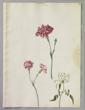 Alexander Marshal (RCIN 924394), Alexander Marshal