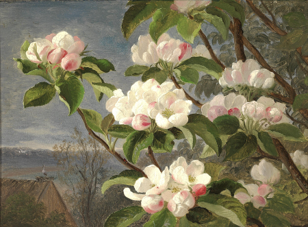 Apple branches in bloom, in the background a stork on a roof., Andreas Juuel, 1859