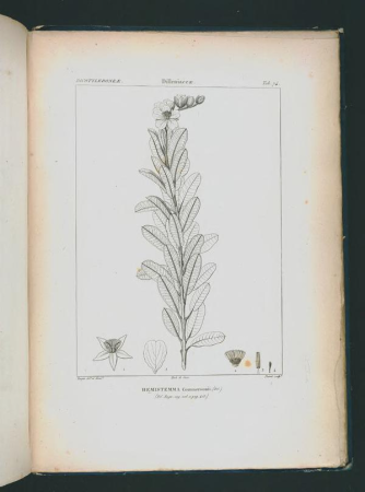 Icones selectae plantarum quas in systemate universali (Tab. 074), between 1820 and 1846