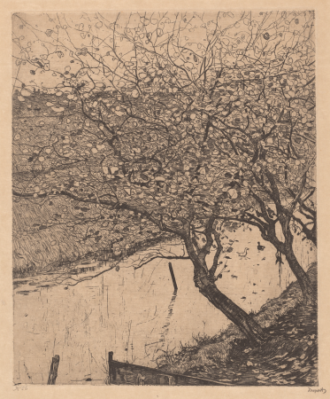 Apple Trees along the Side of a Ditch, Pieter Dupont, 1894