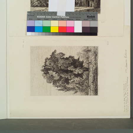 Figures beneath a large tree, Maxime Lalanne, 1882