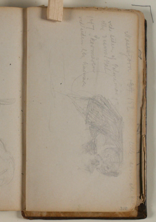 Studie af næsebjørn, Niels Larsen Stevns